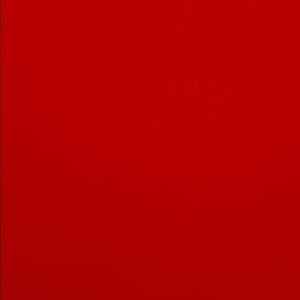 Meet your Posher, Aracely